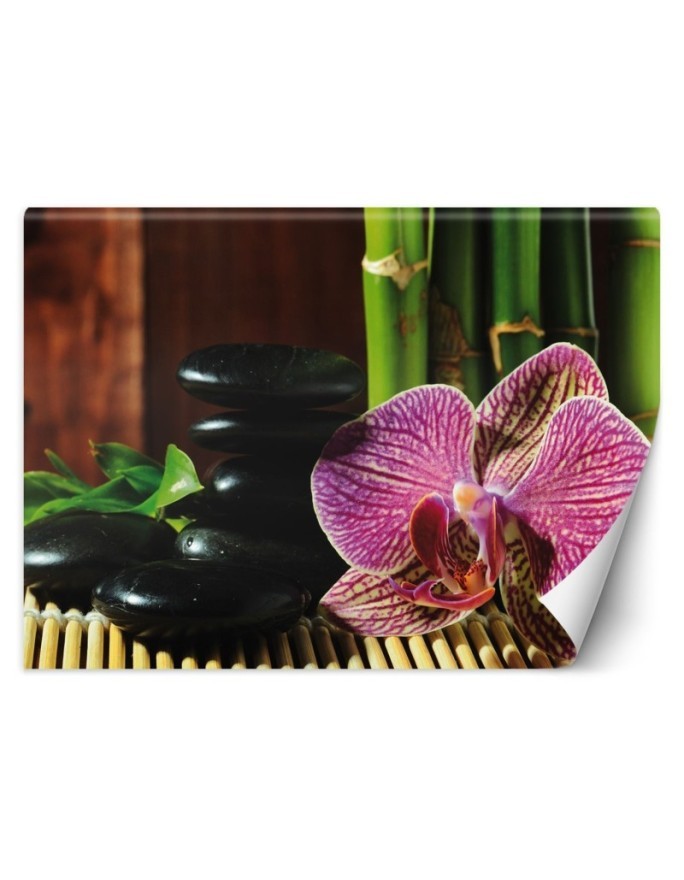 Wallpapers - Orchid stones zen bamboo | FEEBY