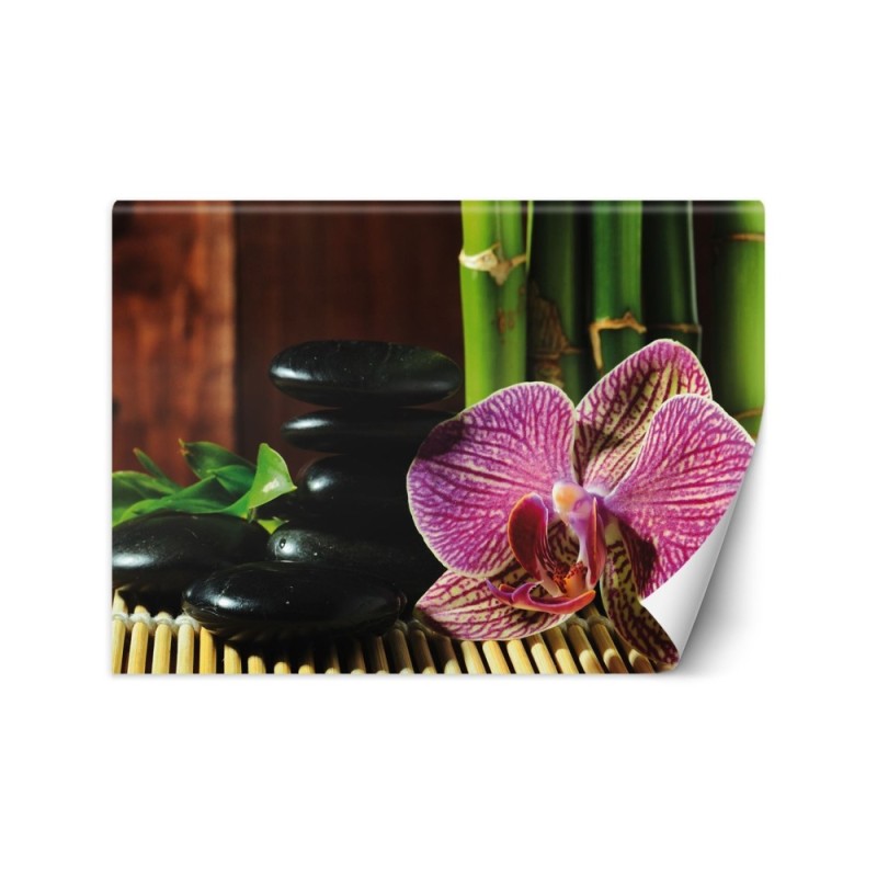 Wallpapers - Orchid stones zen bamboo | FEEBY