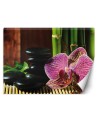 Wallpapers - Orchid stones zen bamboo | FEEBY