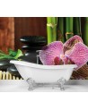 Wallpapers - Orchid stones zen bamboo | FEEBY