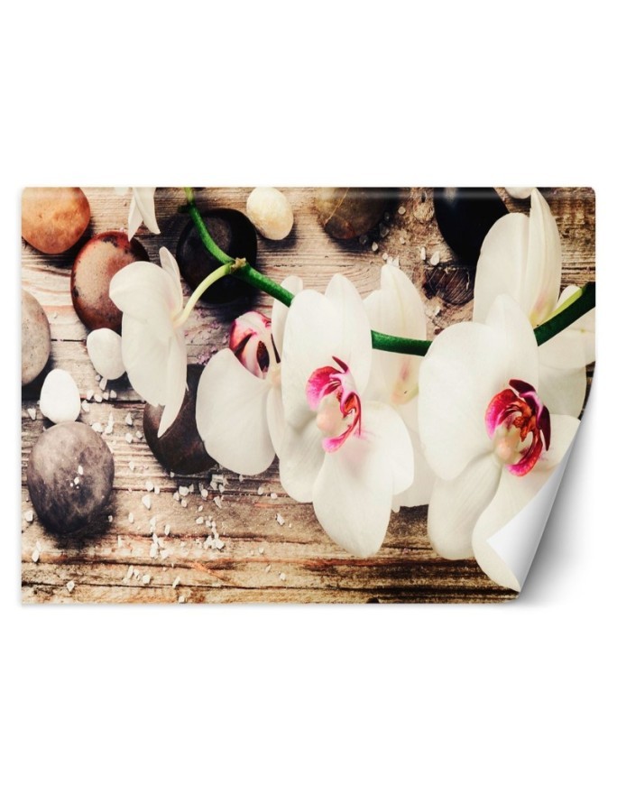 Wallpaper - Zen feng shui orchid | FEEBY
