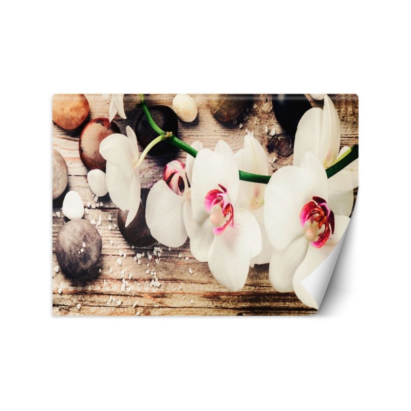 Wallpaper - Zen feng shui orchid | FEEBY