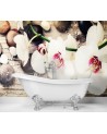 Wallpaper - Zen feng shui orchid | FEEBY