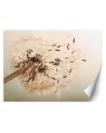 Original Wallpapers - Macro blowfly | FEEBY