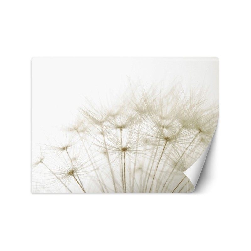 Wallpaper - Blowfly plants nature | FEEBY