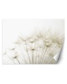 Wallpaper - Blowfly plants nature | FEEBY