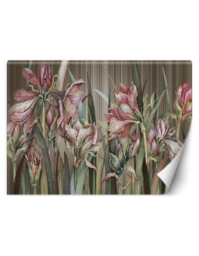 Unique Wallpapers - Amaryllis flowers | FEEBY