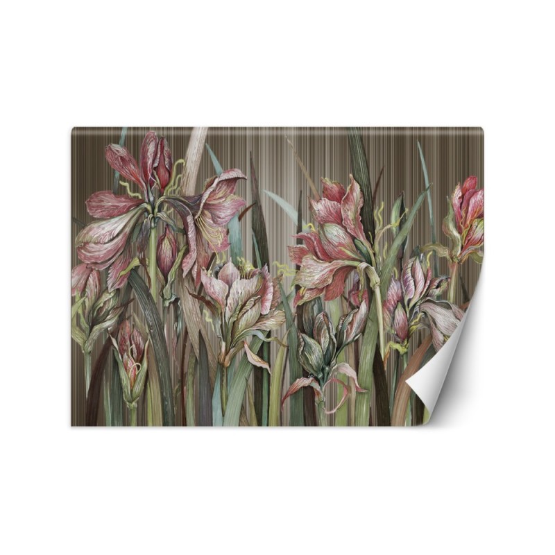 Unique Wallpapers - Amaryllis flowers | FEEBY