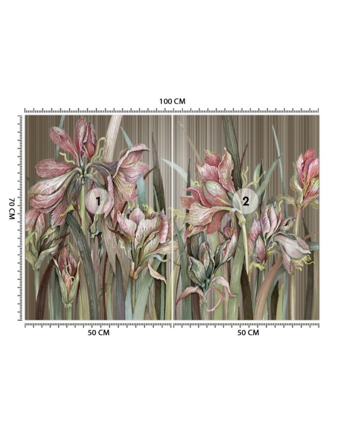 Unique Wallpapers - Amaryllis flowers | FEEBY