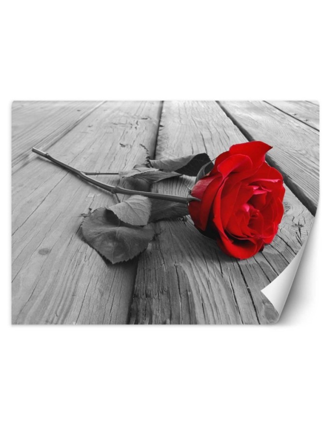 Wallpaper - Red rose on a bridge | FEEBY
