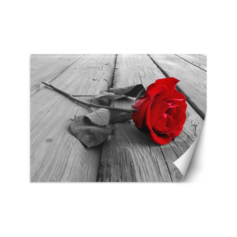 Wallpaper - Red rose on a bridge | FEEBY