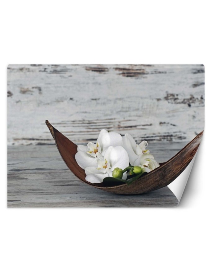 Stylish wall murals - Orchid zen spa | FEEBY