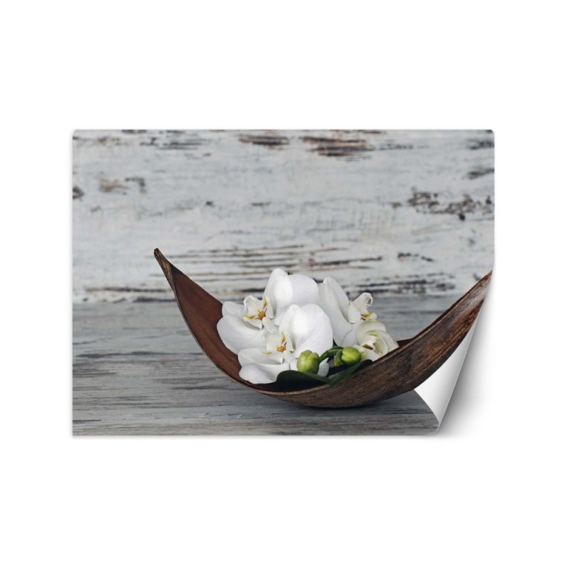 Stylish wall murals - Orchid zen spa | FEEBY