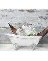 Stylish wall murals - Orchid zen spa | FEEBY
