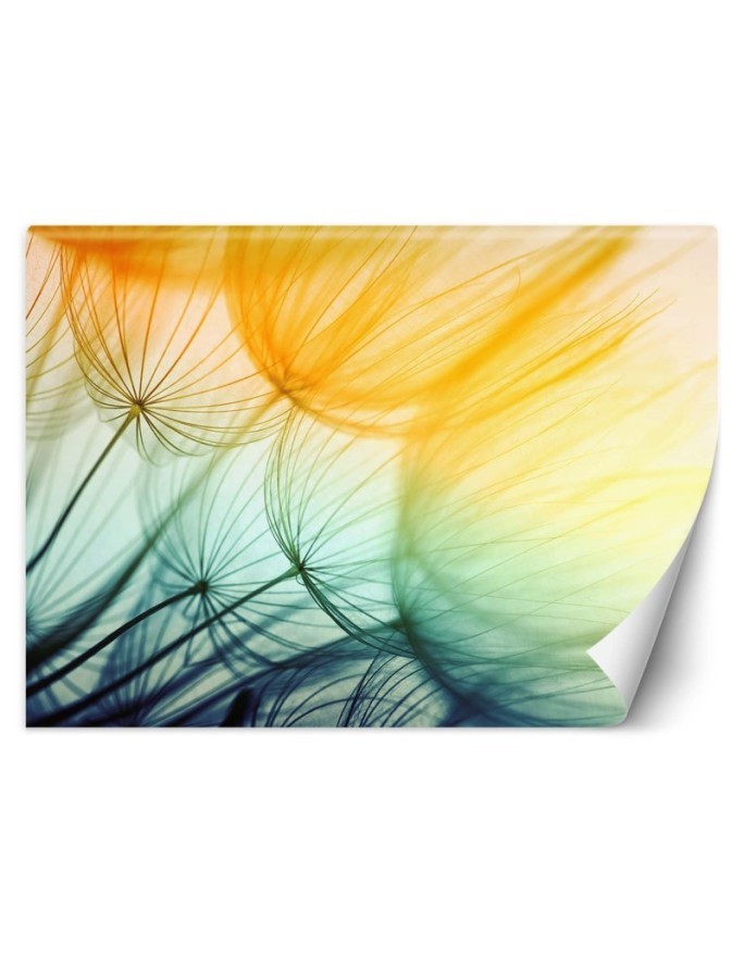 Original wall murals - Colourful dandelions | FEEBY