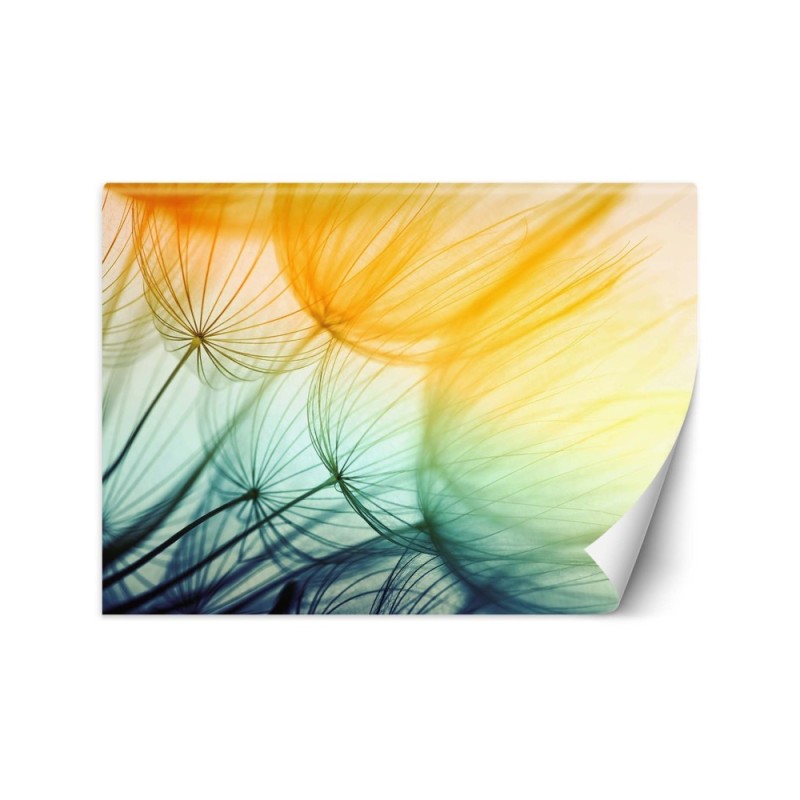 Original wall murals - Colourful dandelions | FEEBY