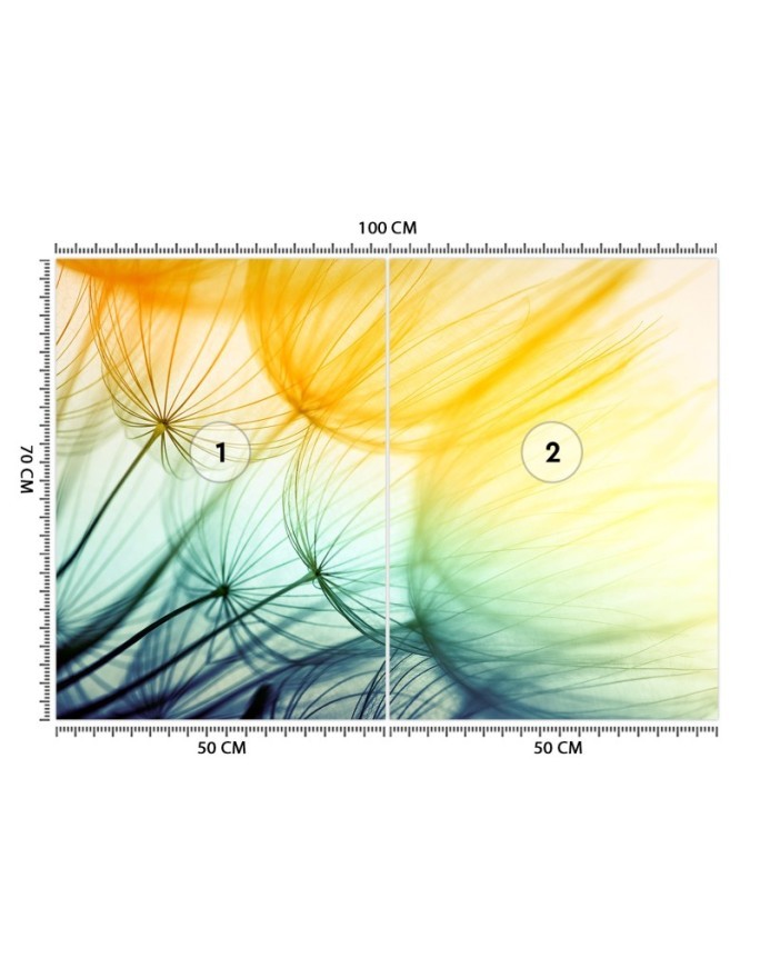 Original wall murals - Colourful dandelions | FEEBY
