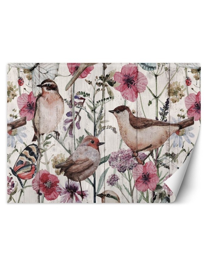 The most fashionable wall murals - Birds and butterflies in a meadow | FEEBY