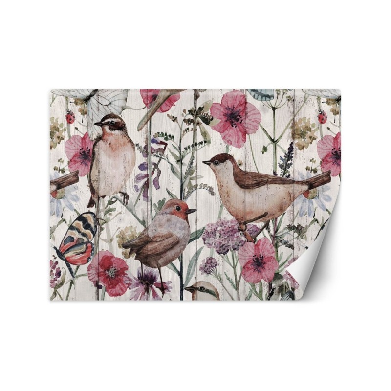 The most fashionable wall murals - Birds and butterflies in a meadow | FEEBY