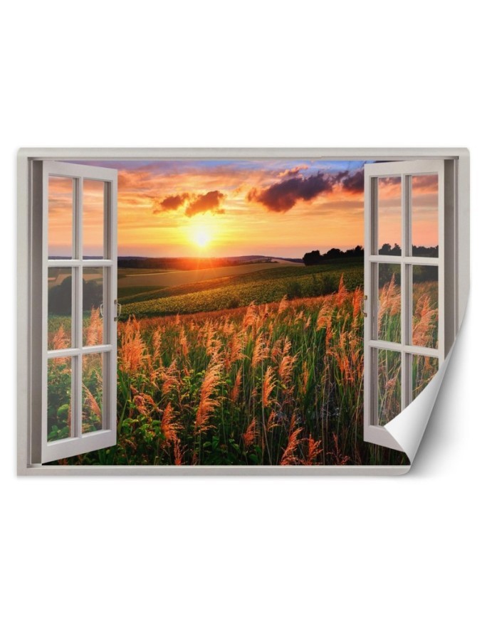 The most fashionable wall murals - Window overlooking a meadow sunset | FEEBY
