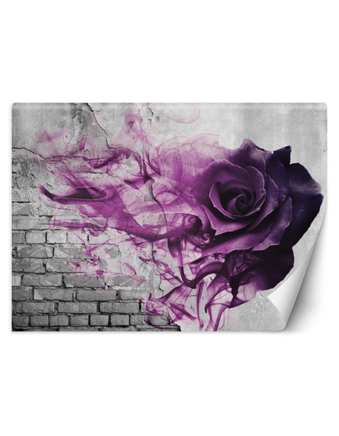 Modern wall mural - Violet rose smoke | FEEBY