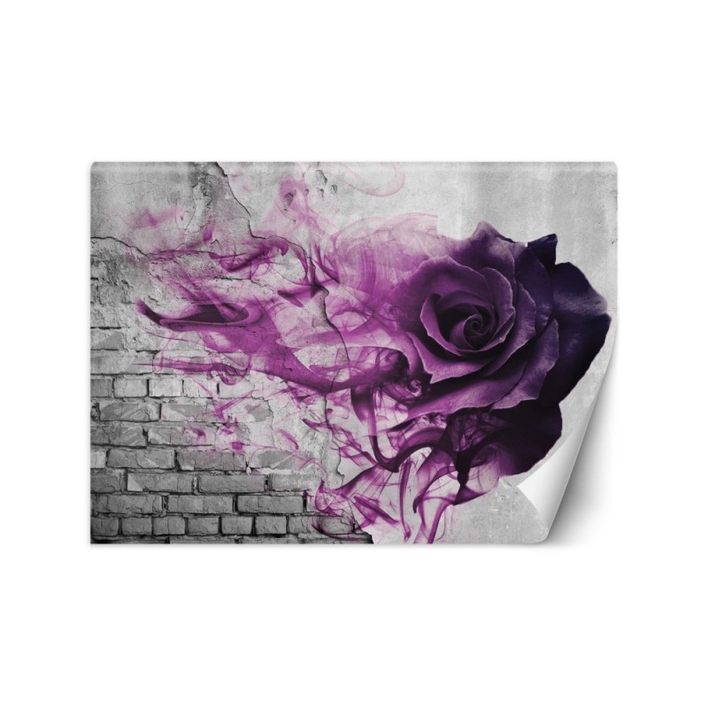 Modern wall mural - Violet rose smoke | FEEBY