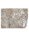 Unique wall murals - Concrete rose flower boho | FEEBY