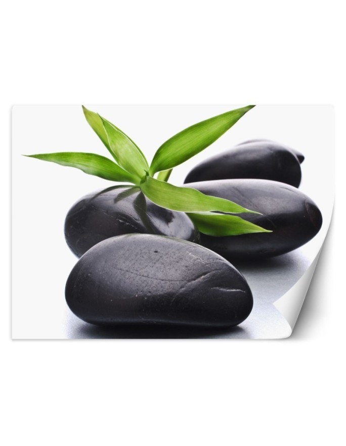 Spa living room wall mural - Stones zen leaf | FEEBY