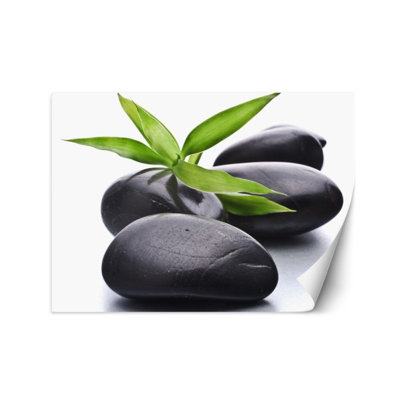 Spa living room wall mural - Stones zen leaf | FEEBY