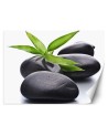 Spa living room wall mural - Stones zen leaf | FEEBY