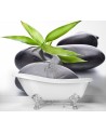 Spa living room wall mural - Stones zen leaf | FEEBY