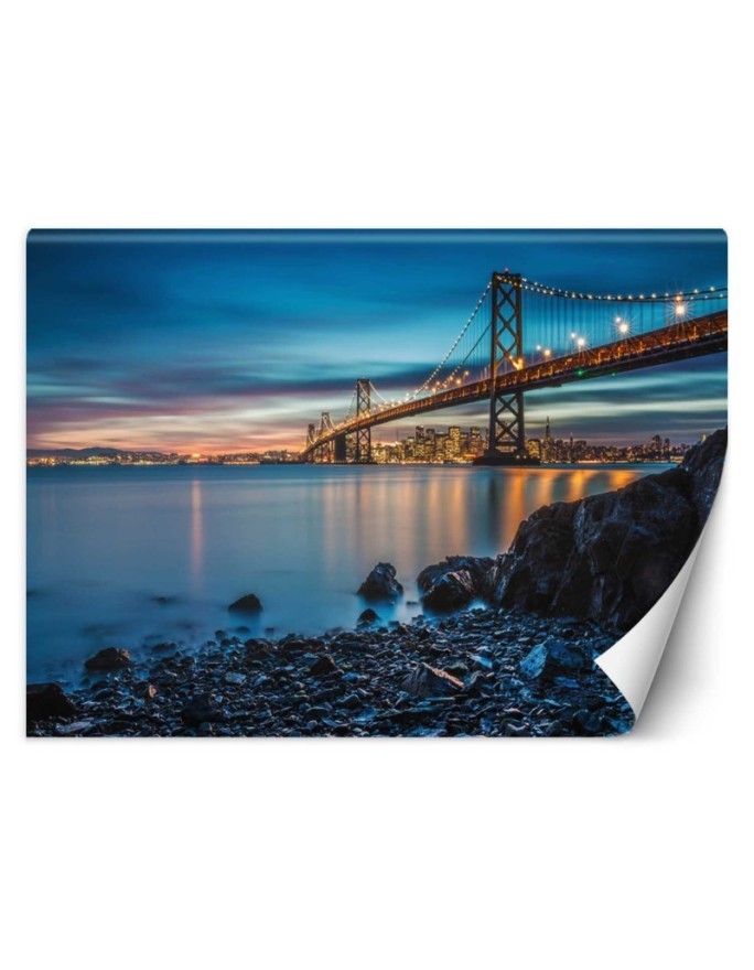 Original wall murals - San Francisco bridge | FEEBY
