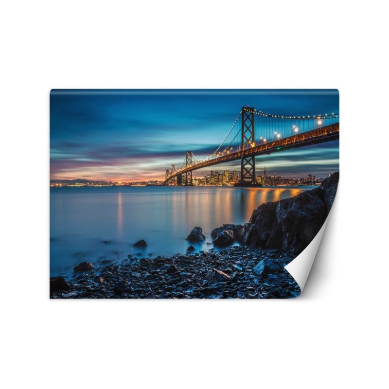 Original wall murals - San Francisco bridge | FEEBY