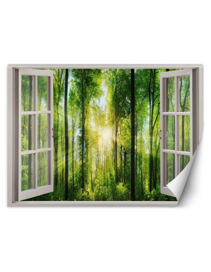 The trendiest Wallpapers - Window view sunshine | FEEBY