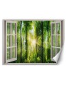 The trendiest Wallpapers - Window view sunshine | FEEBY