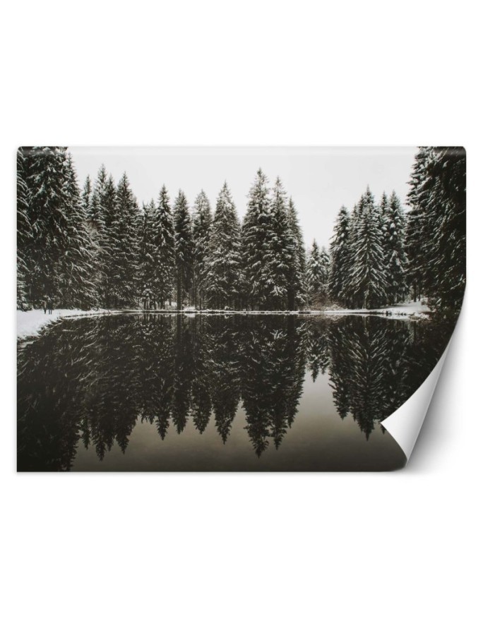 Photo Wallpaper - Lake forest winter nature | FEEBY