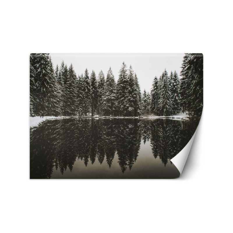Photo Wallpaper - Lake forest winter nature | FEEBY