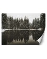 Photo Wallpaper - Lake forest winter nature | FEEBY