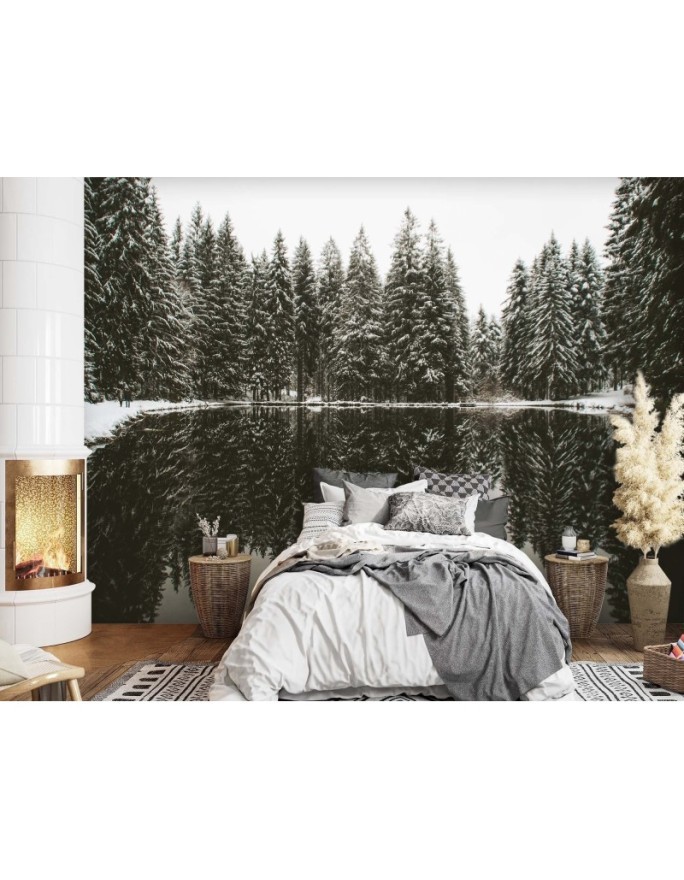 Photo Wallpaper - Lake forest winter nature | FEEBY