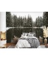 Photo Wallpaper - Lake forest winter nature | FEEBY