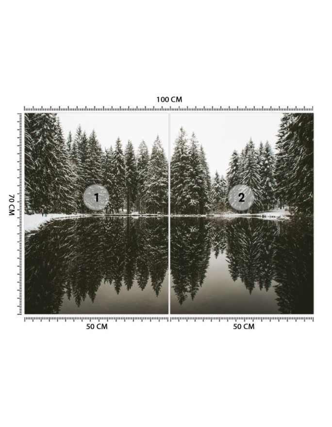 Photo Wallpaper - Lake forest winter nature | FEEBY