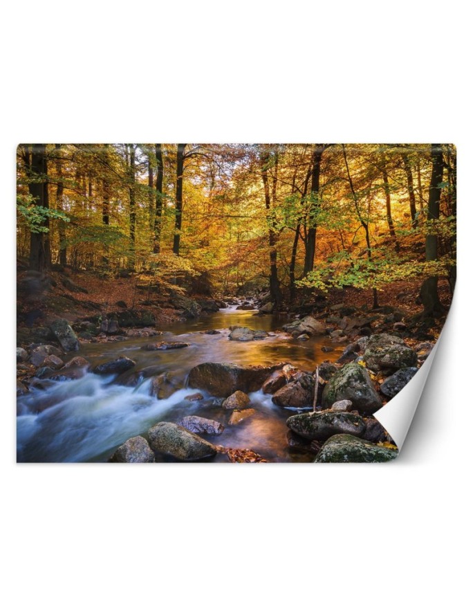 Wall mural Forest river...