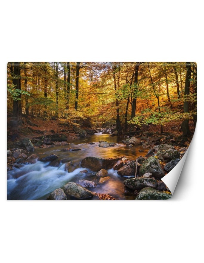Wallpaper - Mountain stream in a forest | FEEBY
