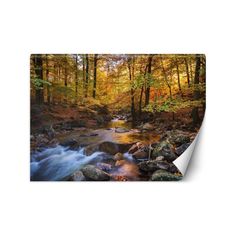 Wallpaper - Mountain stream in a forest | FEEBY