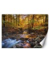 Wallpaper - Mountain stream in a forest | FEEBY