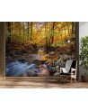 Wallpaper - Mountain stream in a forest | FEEBY