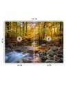 Wallpaper - Mountain stream in a forest | FEEBY