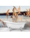 The most fashionable Wallpapers - Pampas grass on a lake background | FEEBY