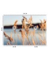 The most fashionable Wallpapers - Pampas grass on a lake background | FEEBY