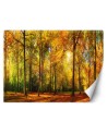 The most beautiful Wallpapers - Autumn forest | FEEBY